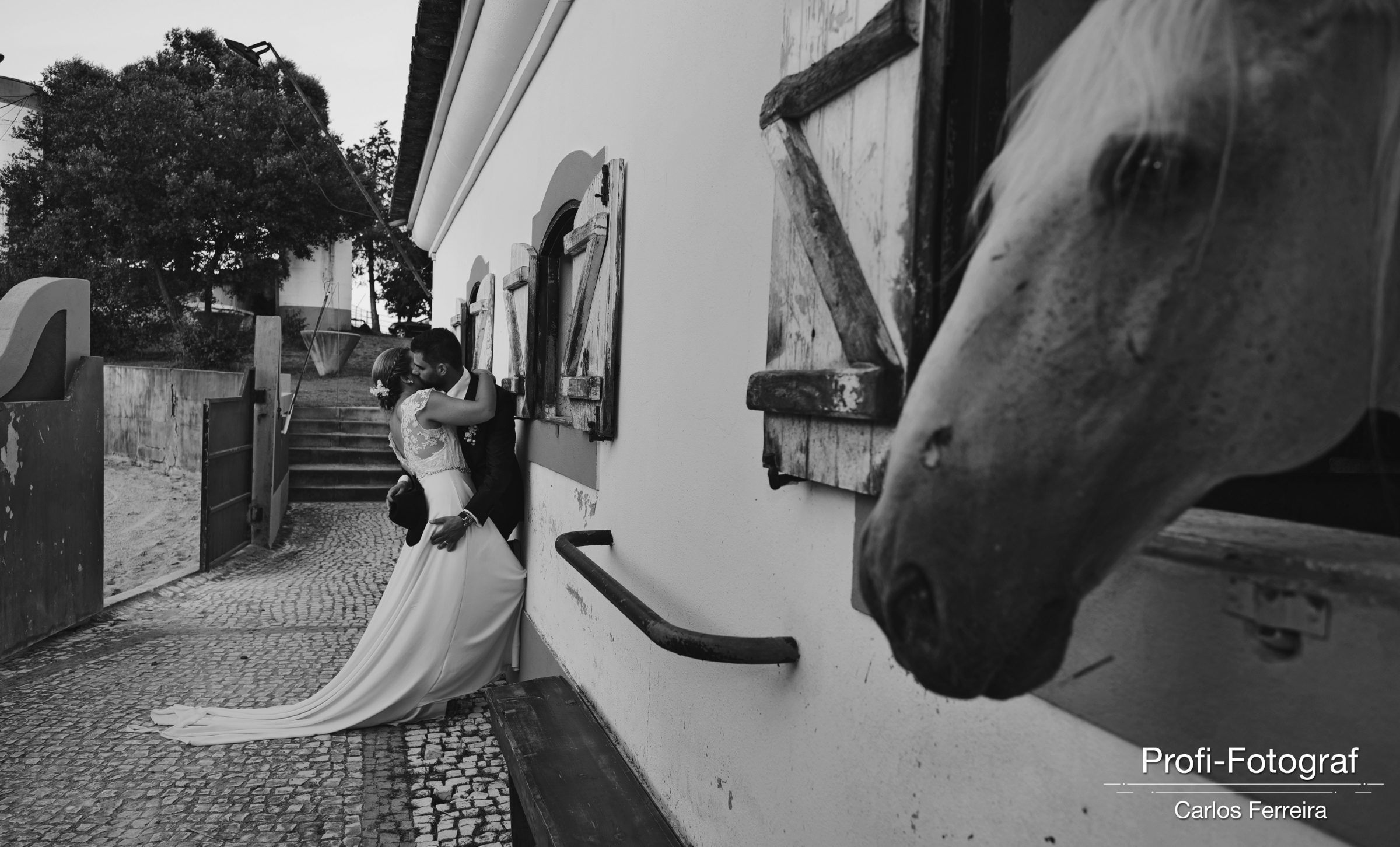 Wedding Wedding