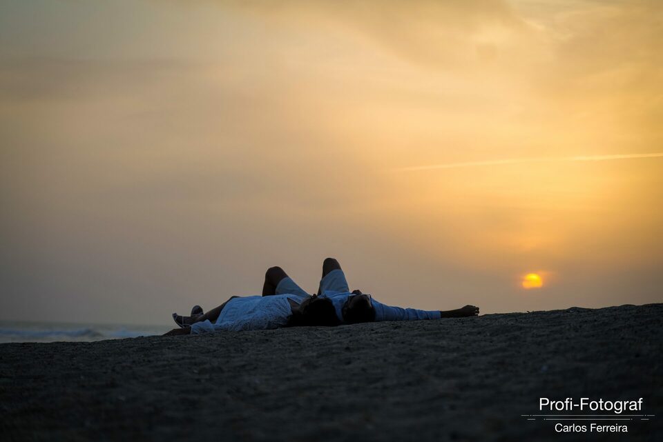 Gatos, Educação e Contabilidade