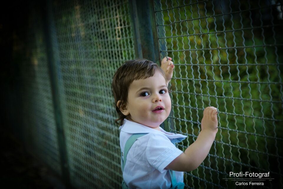 Dia de festa a dobrar