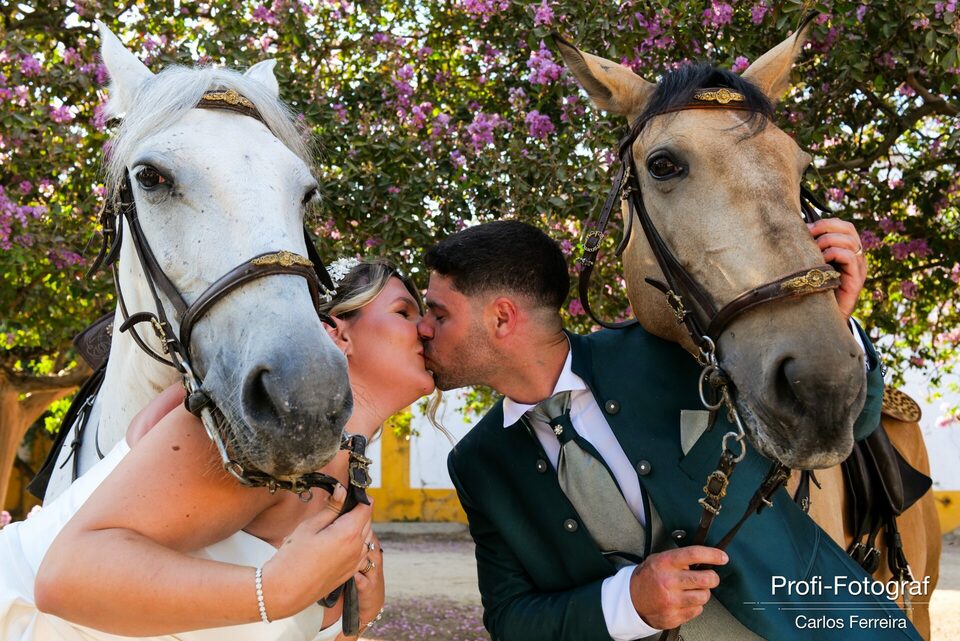 Cavalos com harmonia