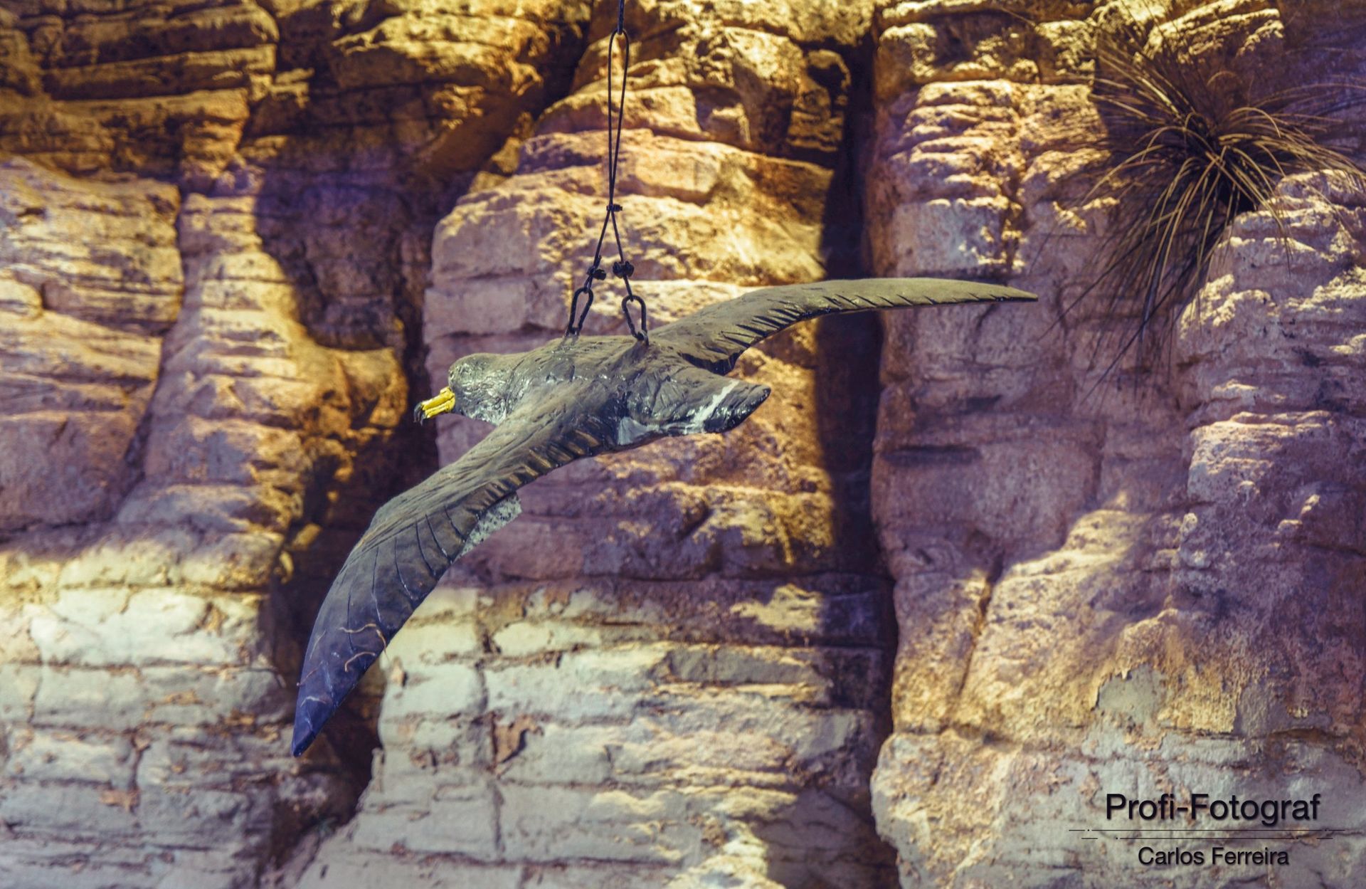 Foto Malta - O nosso cantinho Azul! - parte 3 - Imagem 8