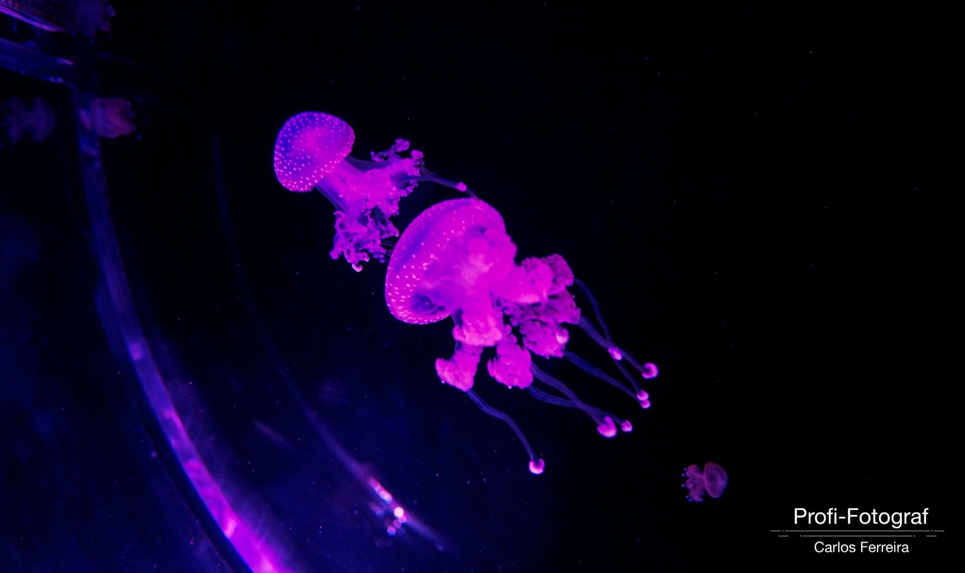 Foto Malta - O nosso cantinho Azul! - parte 3 - Imagem 12