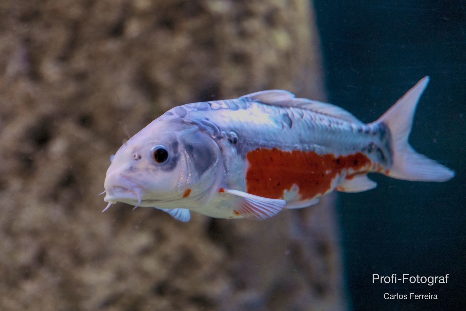 Foto Malta - O nosso cantinho Azul! - parte 3 - Imagem 29