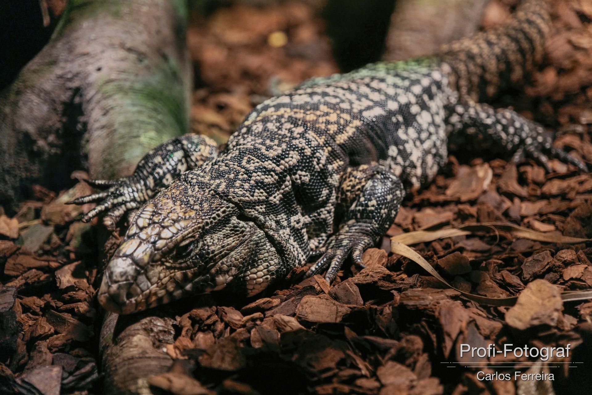Foto Malta - O nosso cantinho Azul! - parte 3 - Imagem 20