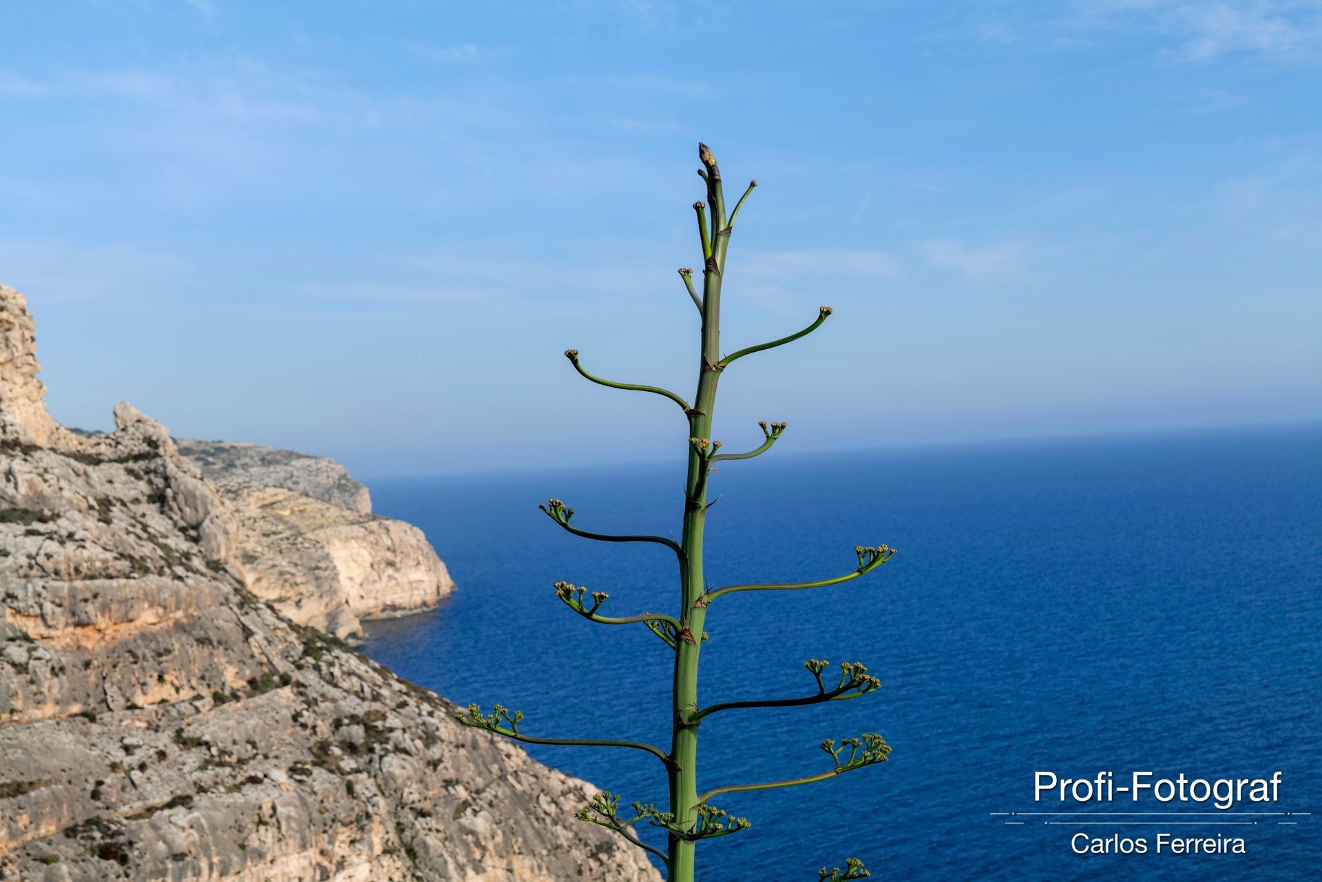 Foto Malta - O nosso cantinho Azul! - parte 3 - Imagem 33