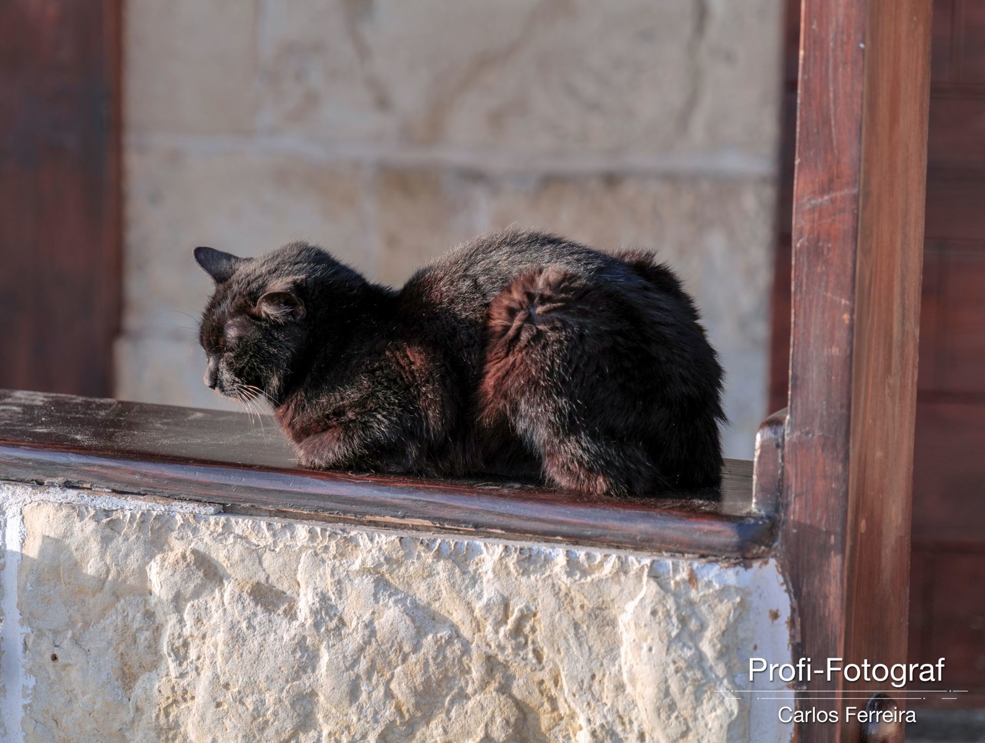 Foto Malta - O nosso cantinho Azul! - parte 3 - Imagem 36